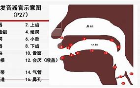 苹果版外国颤音国外音乐网站平台-第2张图片-太平洋在线下载