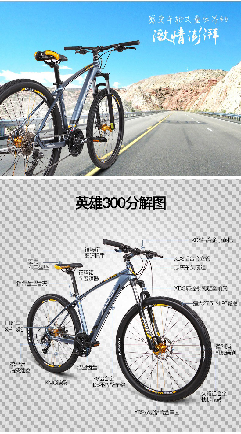 关于死亡单车手机版的信息