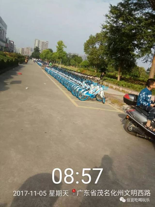 关于死亡单车手机版的信息-第2张图片-太平洋在线下载